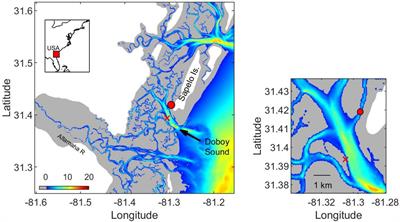 Assessing the Contribution of Seasonality, Tides, and Microbial Processing to Dissolved Organic Matter Composition Variability in a Southeastern U.S. Estuary